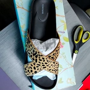 Birdies. The Robin-Mini Cheetah